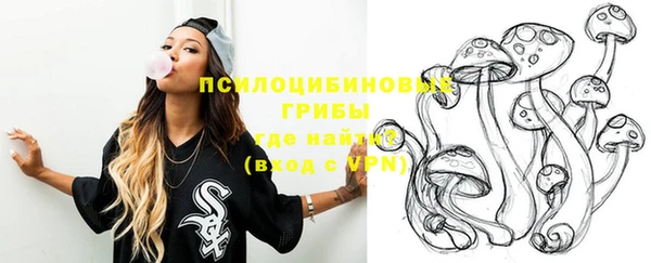 спиды Бородино
