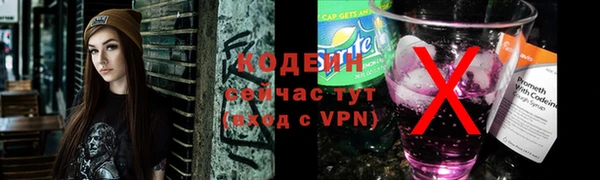спиды Бородино