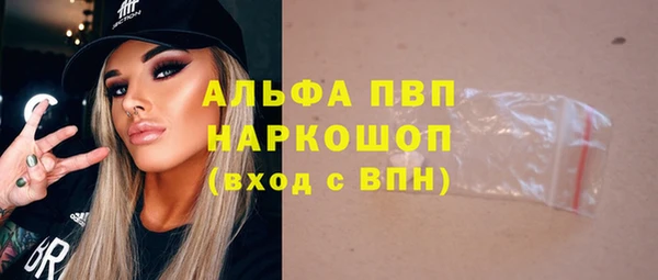 спиды Бородино