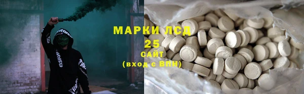спиды Бородино