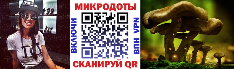 купить   hydra ССЫЛКА  Псилоцибиновые грибы мухоморы  Нижнекамск 